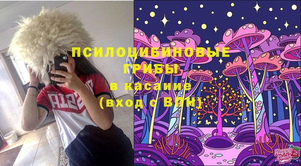 spice Алексеевка