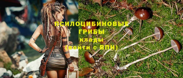 spice Алексеевка